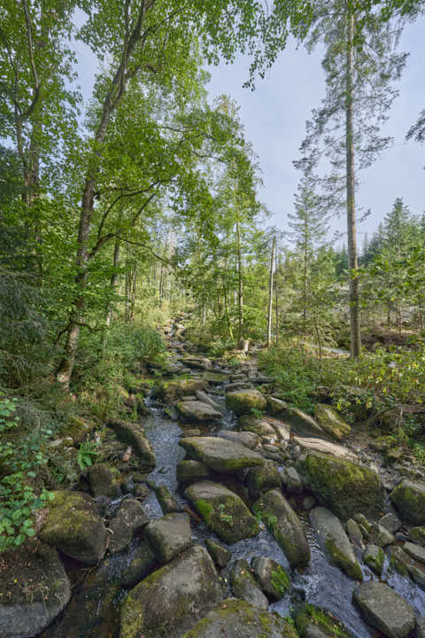 Gemeinde Waldkirchen Landkreis Freyung-Grafenau Saußbachklamm (Dirschl Johann) Deutschland FRG